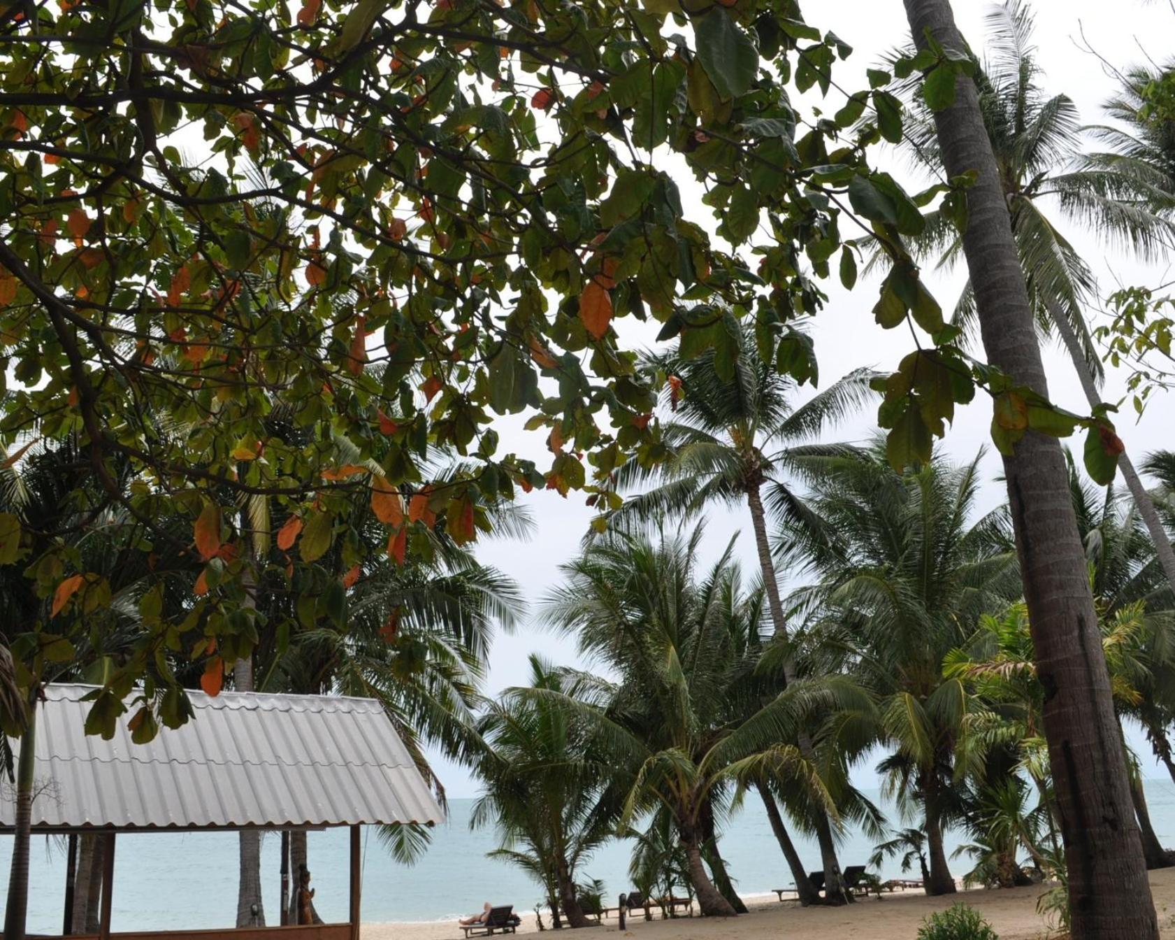 Astrococo Beach Resort By Coconut Beach Lamai Exteriér fotografie